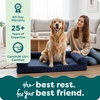 image:imageFurHaven Dog Bed Cover Replacement SofaStyle Design with Soft Breathable Fabric for Cozy Comfort Machine Washable Large Plush amp Velvet Granite GrayCeladon Green