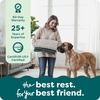 image:imageFurHaven Dog Bed Cover Replacement SofaStyle Design with Soft Breathable Fabric for Cozy Comfort Machine Washable Large Plush amp Velvet Granite GrayCeladon Green