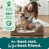 image:imageFurHaven Dog Bed Cover Replacement SofaStyle Design with Soft Breathable Fabric for Cozy Comfort Machine Washable Large Plush amp Velvet Waves Celadon GreenBrownstone
