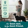 image:imageFurHaven Dog Bed Cover Replacement SofaStyle Design with Soft Breathable Fabric for Cozy Comfort Machine Washable Large Plush amp Velvet Waves Celadon GreenCeladon Green