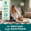 image:imageFurHaven Dog Bed for Extra Small Dogs amp Cats Bolster Crate Pad with Soft Supportive Base for Carriers amp Kennels Machine Washable Extra Small Sherpa Fleece CreamCream