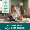 image:imageFurHaven Dog Bed for Extra Small Dogs amp Cats Bolster Crate Pad with Soft Supportive Base for Carriers amp Kennels Machine Washable Extra Small Sherpa Fleece CreamCream