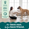 image:imageFurHaven Replacement Dog Bed Cover Contour Luxe Lounger Design Soft amp Breathable Fabric for Cozy Comfort Machine Washable Jumbo XL Ultra Plush Faux Fur amp Suede ChocolateUltra Plush Cream