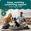 image:imageFurhaven 23 Round Calming Donut Dog Bed for Indoor Cats amp Small Dogs Washable For Dogs Up to 20 lbs  Shaggy Plush Long Faux Fur Donut Bed  Gray Small 230L x 230W x 90ThGray