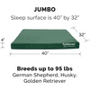image:imageFurhaven Replacement Dog Bed Cover WaterResistant IndoorOutdoor Logo Print Oxford Polycanvas Mattress Washable  Deep Lagoon Jumbo XLargeForest