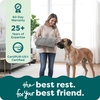 image:imageFurhaven Replacement Dog Bed Cover WaterResistant IndoorOutdoor Logo Print Oxford Polycanvas Mattress Washable  Deep Lagoon Jumbo XLargeGray