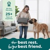 image:imageFurhaven Replacement Dog Bed Cover WaterResistant IndoorOutdoor Logo Print Oxford Polycanvas Mattress Washable  Deep Lagoon Jumbo XLargeStone Gray
