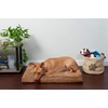 image:imageFurhaven Replacement Dog Bed Cover WaterResistant IndoorOutdoor Logo Print Oxford Polycanvas Mattress Washable  Deep Lagoon Jumbo XLargeTerry  Suede Camel