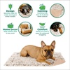 image:imageFurhaven Waterproof Throw Blanket for Dogs amp Indoor Cats Washable  Shaggy Plush Calming Long Faux Fur amp Velvet Dog Blanket  Driftwood SmallLong Faux Fur Taupe