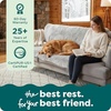 image:imageFurhaven Waterproof Throw Blanket for Dogs amp Indoor Cats Washable  Shaggy Plush Calming Long Faux Fur amp Velvet Dog Blanket  Mist Gray LargeGray