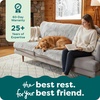 image:imageFurhaven Waterproof Throw Blanket for Dogs amp Indoor Cats Washable  Shaggy Plush Calming Long Faux Fur amp Velvet Dog Blanket  Mist Gray LargeMist Gray