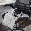 image:imageFurhaven Waterproof Throw Blanket for Dogs amp Indoor Cats Washable  Shaggy Plush Calming Long Faux Fur amp Velvet Dog Blanket  Mist Gray LargeMist Gray
