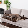 image:imageFurhaven Waterproof Throw Blanket for Dogs amp Indoor Cats Washable  TwoTone Luxe Velvet Dog Blanket  Celadon Green MediumBrownstone
