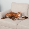 image:imageFurhaven Waterproof Throw Blanket for Dogs amp Indoor Cats Washable  TwoTone Luxe Velvet Dog Blanket  Celadon Green MediumBrownstone