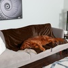image:imageFurhaven Waterproof Throw Blanket for Dogs amp Indoor Cats Washable  TwoTone Luxe Velvet Dog Blanket  Celadon Green MediumBrownstone