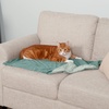 image:imageFurhaven Waterproof Throw Blanket for Dogs amp Indoor Cats Washable  TwoTone Luxe Velvet Dog Blanket  Celadon Green MediumCeladon Green