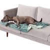 image:imageFurhaven Waterproof Throw Blanket for Dogs amp Indoor Cats Washable  TwoTone Luxe Velvet Dog Blanket  Celadon Green MediumCeladon Green