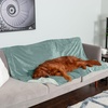 image:imageFurhaven Waterproof Throw Blanket for Dogs amp Indoor Cats Washable  TwoTone Luxe Velvet Dog Blanket  Celadon Green MediumCeladon Green
