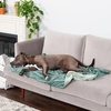 image:imageFurhaven Waterproof Throw Blanket for Dogs amp Indoor Cats Washable  TwoTone Luxe Velvet Dog Blanket  Celadon Green MediumCeladon Green