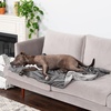 image:imageFurhaven Waterproof Throw Blanket for Dogs amp Indoor Cats Washable  TwoTone Luxe Velvet Dog Blanket  Celadon Green MediumGranite Gray