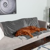 image:imageFurhaven Waterproof Throw Blanket for Dogs amp Indoor Cats Washable  TwoTone Luxe Velvet Dog Blanket  Celadon Green MediumGranite Gray