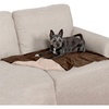 image:imageFurhaven Waterproof Throw Blanket for Dogs amp Indoor Cats Washable  TwoTone Luxe Velvet Dog Blanket  Celadon Green MediumBrownstone