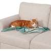 image:imageFurhaven Waterproof Throw Blanket for Dogs amp Indoor Cats Washable  TwoTone Luxe Velvet Dog Blanket  Celadon Green MediumCeladon Green