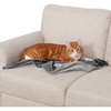 image:imageFurhaven Waterproof Throw Blanket for Dogs amp Indoor Cats Washable  TwoTone Luxe Velvet Dog Blanket  Celadon Green MediumGranite Gray