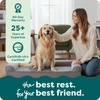 image:imageFurHaven Classic Sofa Orthopedic Dog Bed for Large Dogs with Orthopedic Egg Crate with a Solid Orthopedic Foam Base for Joint Support Removable Washable Cover Large Quilted Sofa Iron GrayDark Sage