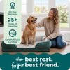 image:imageFurHaven Cooling Gel Dog Bed for Large Dogs Perfect Comfort Sofa Bed with Cool GelTop Foam with a Solid Orthopedic Foam Base for Joint Support Washable Cover Jumbo XL Plush amp Velvet Granite GrayCeladon Green