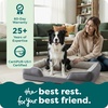 image:imageFurHaven Cooling Gel Dog Bed for Large Dogs Perfect Comfort Sofa Bed with Cool GelTop Foam with a Solid Orthopedic Foam Base for Joint Support Washable Cover Jumbo XL Plush amp Velvet Granite GrayGranite Gray
