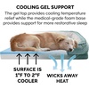 image:imageFurHaven Cooling Gel Dog Bed for Large Dogs Perfect Comfort Sofa Bed with Cool GelTop Foam with a Solid Orthopedic Foam Base for Joint Support Washable Cover Jumbo XL Plush amp Velvet Granite GrayCeladon Green