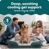 image:imageFurHaven Cooling Gel Dog Bed for Large Dogs Perfect Comfort Sofa Bed with Cool GelTop Foam with a Solid Orthopedic Foam Base for Joint Support Washable Cover Jumbo XL Plush amp Velvet Granite GrayCeladon Green