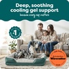 image:imageFurHaven Cooling Gel Dog Bed for Large Dogs Perfect Comfort Sofa Bed with Cool GelTop Foam with a Solid Orthopedic Foam Base for Joint Support Washable Cover Jumbo XL Plush amp Velvet Granite GrayCeladon Green