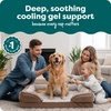 image:imageFurHaven Cooling Gel Dog Bed for Large Dogs Perfect Comfort Sofa Bed with Cool GelTop Foam with a Solid Orthopedic Foam Base for Joint Support Washable Cover Jumbo XL Plush amp Velvet Granite GrayBrownstone
