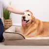 image:imageFurHaven Cooling Gel Dog Bed for Large Dogs Perfect Comfort Sofa Bed with Cool GelTop Foam with a Solid Orthopedic Foam Base for Joint Support Washable Cover Jumbo XL Plush amp Velvet Granite GrayBrownstone