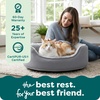 image:imageFurHaven Dog Bed for Small Dogs Oval Lounger with Soft Pillow Cushion Insert for Cozy Comfort Removable Washable Cover Small Faux Fur amp Suede GrayTwo Tone Gray