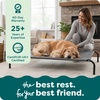 image:imageFurHaven Elevated Dog Bed Cooling Raised Pet Cot with Breathable Mesh Durable Steel Frame IndoorOutdoor Use Easy Assembly Jumbo XL Nylon Mesh with Steel Frame Graphite GrayCapri Blue