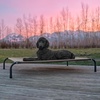 image:imageFurHaven Elevated Dog Bed Cooling Raised Pet Cot with Breathable Mesh Durable Steel Frame IndoorOutdoor Use Easy Assembly Jumbo XL Nylon Mesh with Steel Frame Graphite GrayGraphite Gray