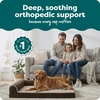 image:imageFurHaven Orthopedic Dog Bed for Large Dogs LShaped Chaise Mattress with Orthopedic Egg Crate amp Solid Orthopedic Foam Base for Joint Support Washable Cover Jumbo XL Faux Fur amp Suede Dark SageEspresso