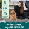 image:imageFurHaven Orthopedic Dog Bed for Large Dogs Luxe Lounger Contour Mattress with Solid Orthopedic Foam Slab for Joint Support Removable Washable Cover Jumbo XL Plush Suede ChocolateGray