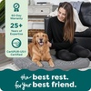 image:imageFurHaven Orthopedic Dog Bed for Large Dogs Luxe Lounger Contour Mattress with Solid Orthopedic Foam Slab for Joint Support Removable Washable Cover Jumbo XL Plush Suede ChocolateCream
