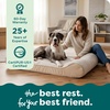 image:imageFurHaven Orthopedic Dog Bed for Large Dogs Luxe Lounger Contour Mattress with Solid Orthopedic Foam Slab for Joint Support Removable Washable Cover Jumbo XL Plush Suede ChocolateCream