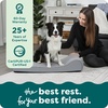 image:imageFurHaven Orthopedic Dog Bed for Large Dogs Luxe Lounger Contour Mattress with Solid Orthopedic Foam Slab for Joint Support Removable Washable Cover Jumbo XL Plush Suede ChocolateGray
