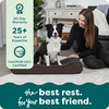 image:imageFurHaven Orthopedic Dog Bed for Large Dogs Luxe Lounger Contour Mattress with Solid Orthopedic Foam Slab for Joint Support Removable Washable Cover Jumbo XL Plush Suede ChocolateChocolate