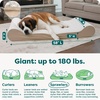 image:imageFurHaven Orthopedic Dog Bed for Large Dogs Luxe Lounger Contour Mattress with Solid Orthopedic Foam Slab for Joint Support Removable Washable Cover Jumbo XL Plush Suede ChocolateCream