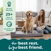 image:imageFurHaven Orthopedic Dog Bed for Large Dogs SofaStyle with Cool GelTop Foam with a Solid Orthopedic Foam Base for Joint Support Removable Washable Cover Jumbo XL Plush amp Suede GrayGray