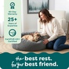 image:imageFurHaven Orthopedic Fur Ball Dog Bed for Medium Dogs Refillable BeanbagStyle Nesting Bed with Removable Washable Cover amp Liner Medium Plush Faux Fur Gray MistPlush Faux Fur Gray Mist