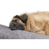 image:imageFurHaven Perfect Comfort Sofa Orthopedic Dog Bed for Large Dogs MemoryTop Foam with a Solid Orthopedic Foam Base for Joint Support Removable Washable Cover Jumbo XL Plush amp Velvet Granite GrayGoliath L Chaise  Faux Fur  Velvet Gray