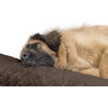 image:imageFurHaven Perfect Comfort Sofa Orthopedic Dog Bed for Large Dogs MemoryTop Foam with a Solid Orthopedic Foam Base for Joint Support Removable Washable Cover Jumbo XL Plush amp Velvet Granite GrayGoliath L Chaise  Faux Fur  Velvet Espresso